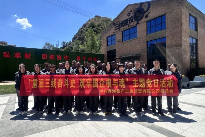 工投公司黨委開展&ldquo;重溫三線奮斗史 筑牢國企根與魂&rdquo;主題黨日活動