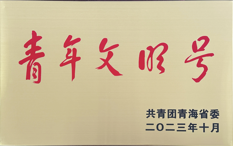 青海省臨空經濟區開發投資有限公司榮獲 &ldquo;第21屆青海青年文明號&rdquo;