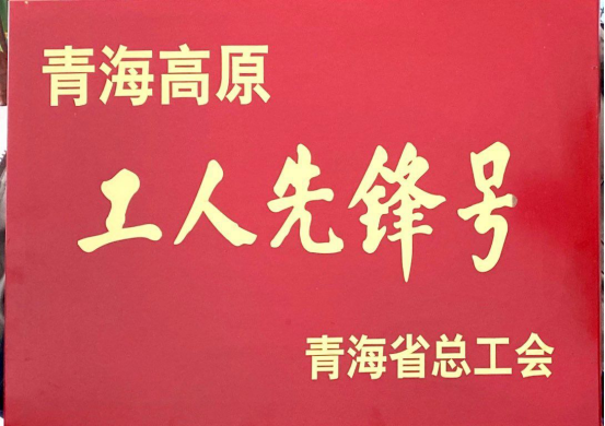青海朝陽(yáng)機(jī)電交易市場(chǎng)有限公司市場(chǎng)管理部榮獲青海高原&ldquo;工人先鋒號(hào)&rdquo;稱號(hào)